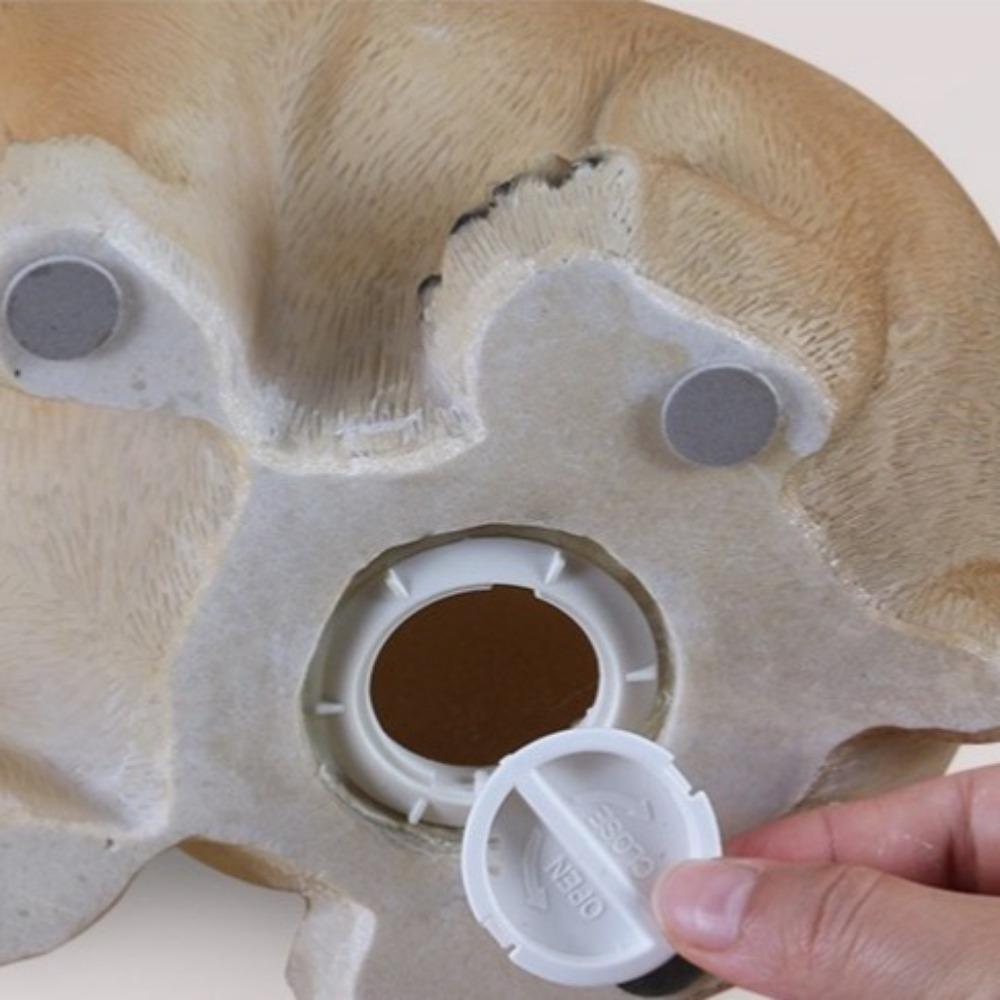 Large Capacity Dog Piggy Bank Decorative Zodiac Dog Ornaments Cartoon Money Boxes  New Years