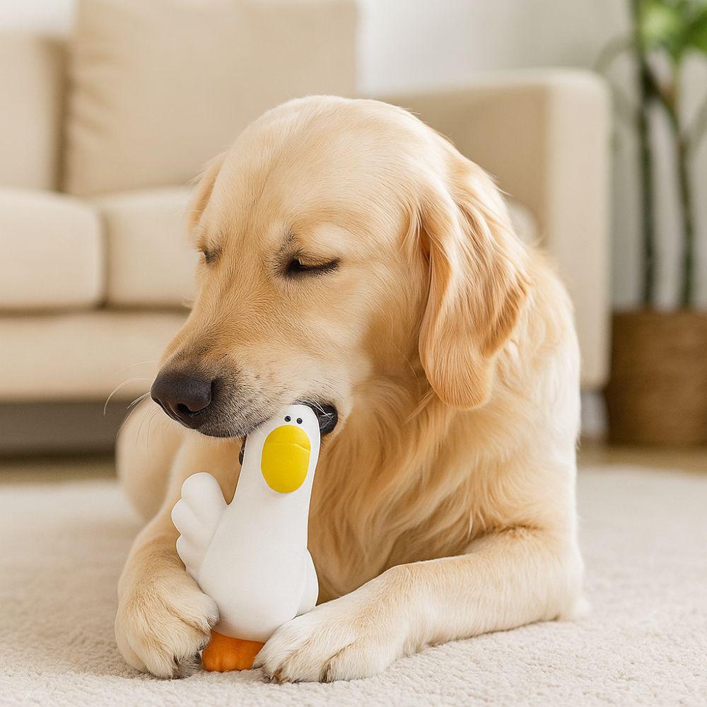 Cartoon Pet Latex Toys Pelican Shape Squeaky Dog Toys Funny Teeth Grinding Toys  for Cats and Dogs