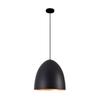 Industrial Style Black Pendant Lamp