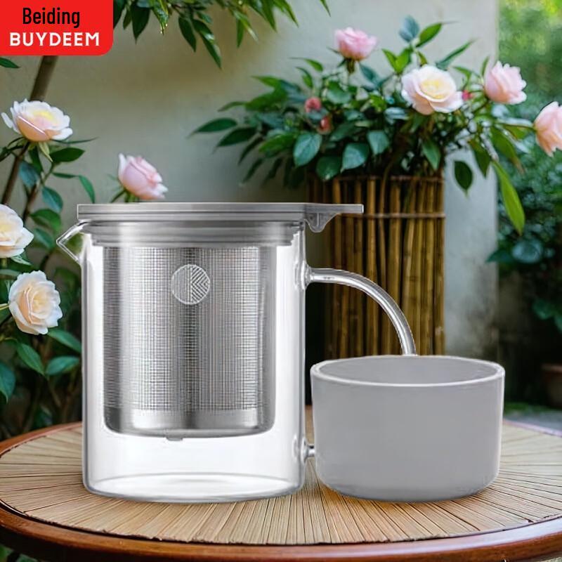Buydeem 500ML Portable Glass Tea Infuser