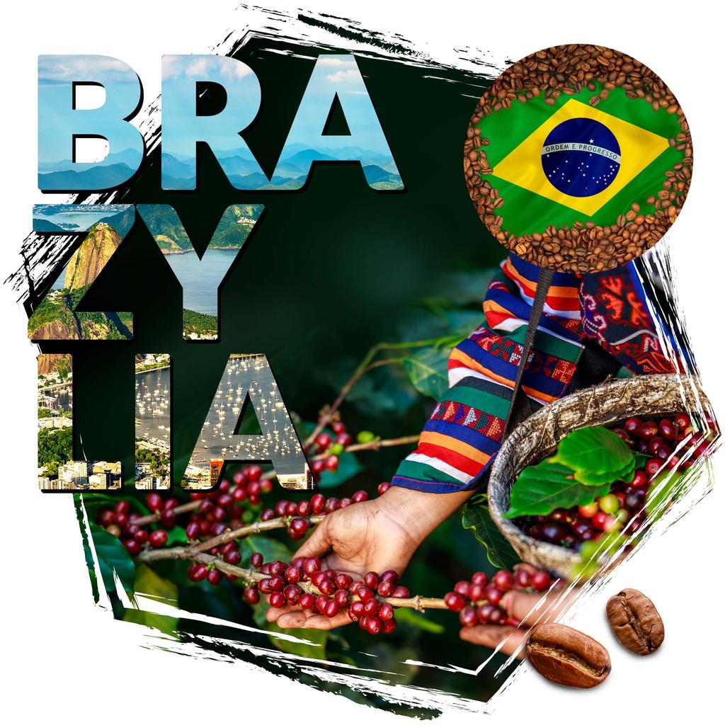 Kawa ziarnista cafeiere arabica brazylia santos scr 17/18, 1kg