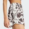 adidas Originals Satin Shorts KA2674