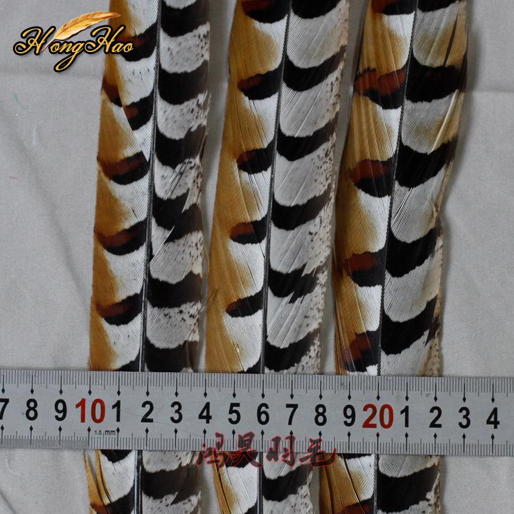 Pheasant Feather Long Plumes for Peking Opera Performance - Sun Wukong Theme