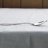 Nagao MIGAKI Curry Spoon Pasta Fork Set Stainless Steel Wooden Box Made in Japan 18-8