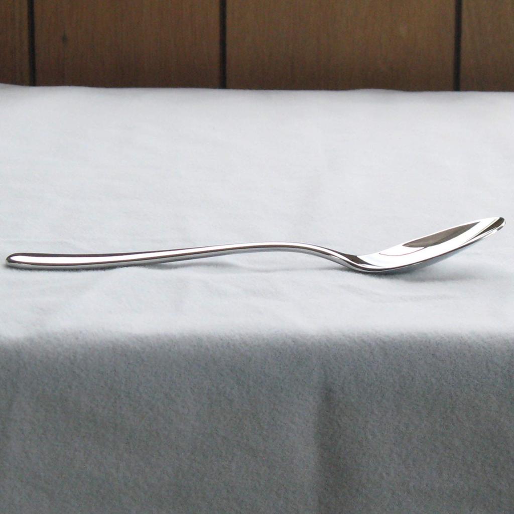 Nagao MIGAKI Curry Spoon Pasta Fork Set Stainless Steel Wooden Box Made in Japan 18-8