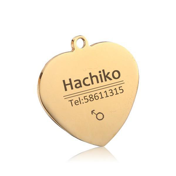 Personalized Stainless Steel Pet Name Tag - Anti-Lost Custom Dog Tag and Collar Nameplate