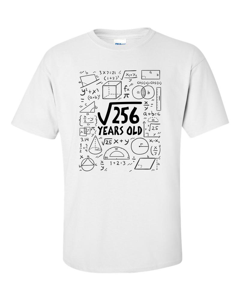 Square Root of 256 16 Year Old 16th Sixteenth Birthday Gifts Math TShirt 2XL