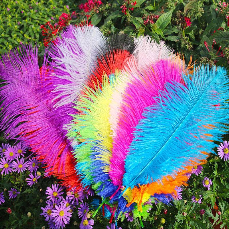 Barevné zavírače na dorty z pštrosího peří a příslušenství