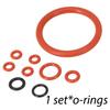 Complete O Ring Replacement Set for For SAECO Syntia SNT6720SS & Giro