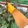 Dornensichere Garten- und Imkerhandschuhe aus Rindsleder – lang, langlebig, schützend