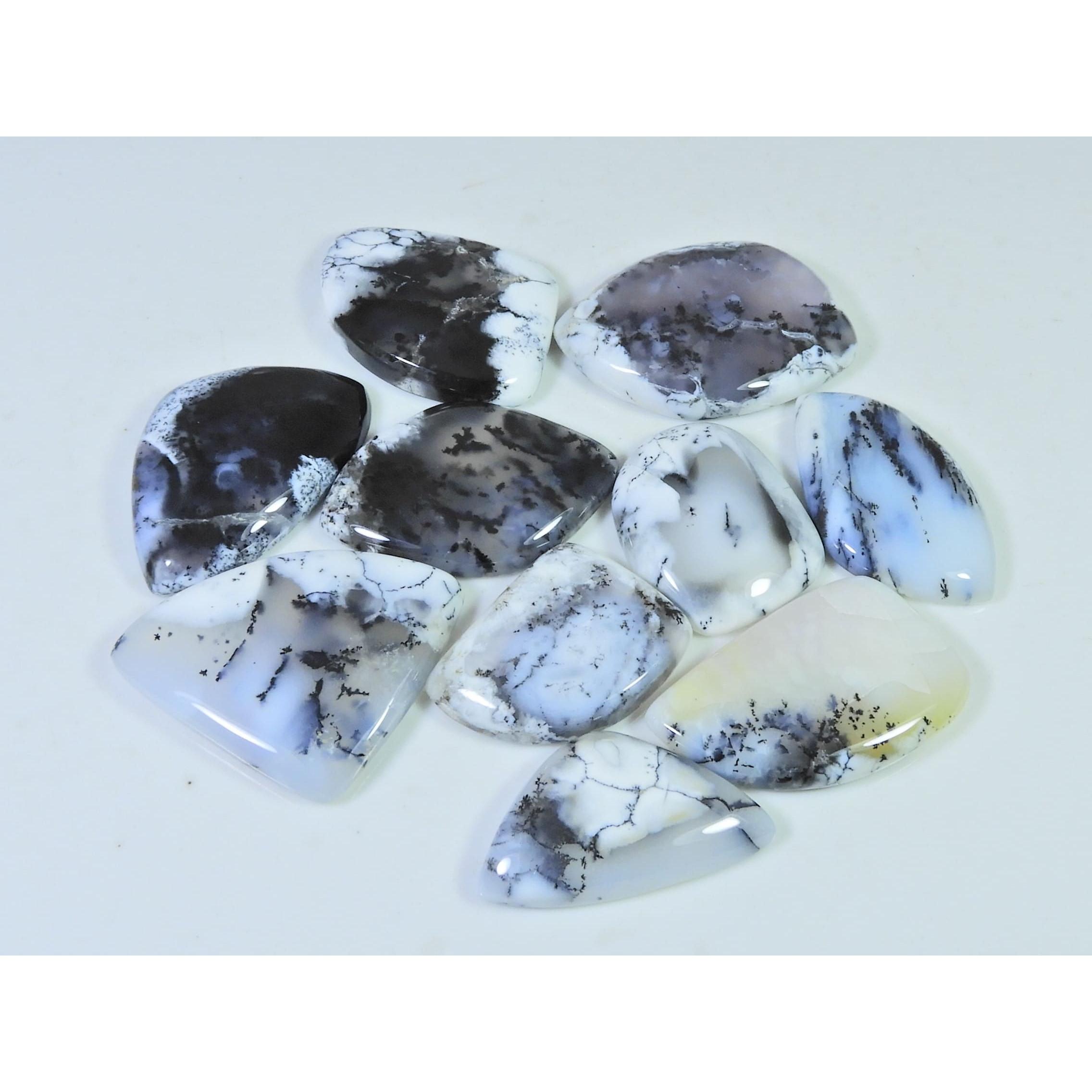 283Cts. Natural Dendrite Opal Agate Fancy Cabochon Loose Gemstone 10Pcs Lot C-1318