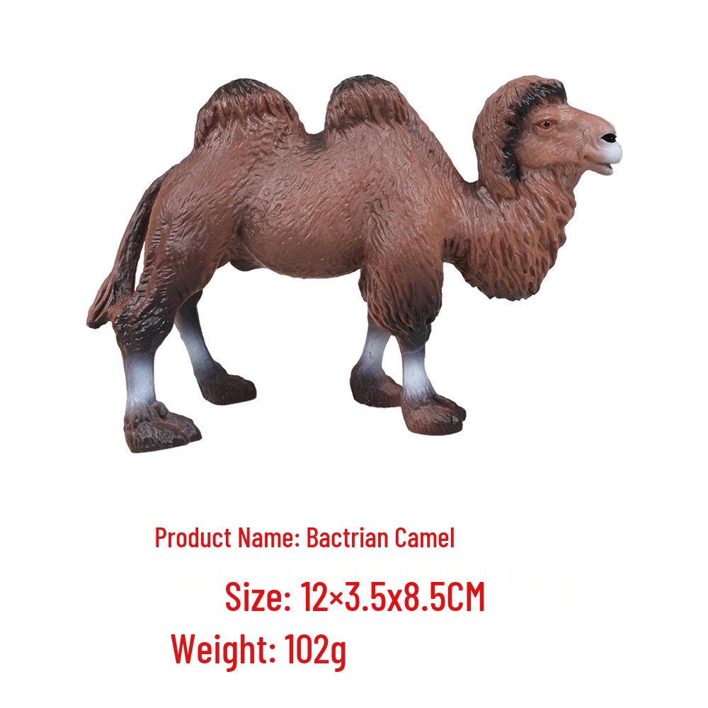 "Wildes Meerestier Simulationsmodell": Kinder Bildungs-Heimdeko-Spielzeug"