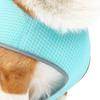 Hunde Kühlweste Atmungsaktive Hunde Kühljacke Leichte Haustier Kühlshirt für Sommer Outdoor