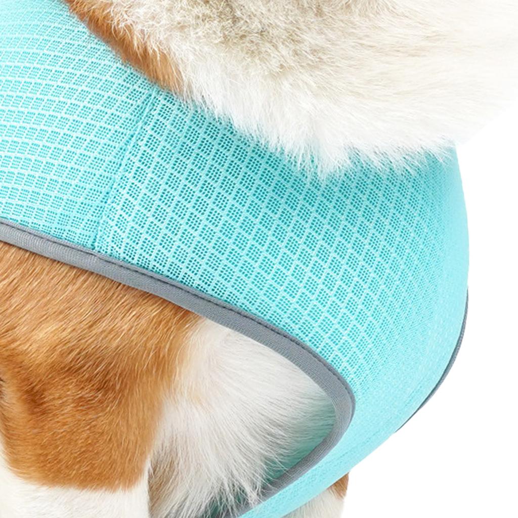 Chladicí vesta pro psy Prodyšná chladicí bunda pro psy Lehké chladicí tričko pro domácí mazlíčky na léto ven