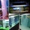 Filter Bottom Tray Plastic Plate Aquarium Divider Isolation Board Partition Fish Tank Separator for Mixed Breed