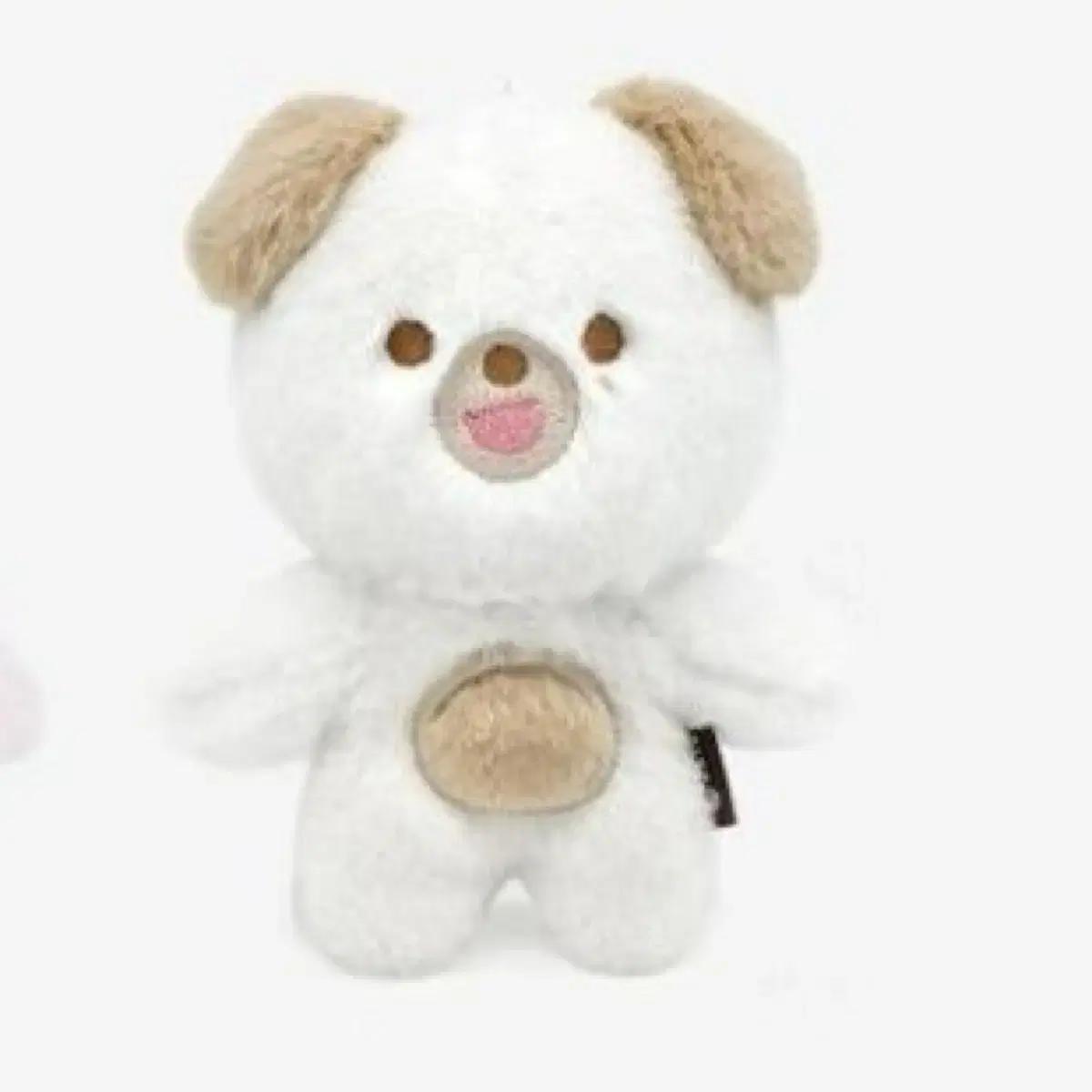 

DAY6 Denimals Petit Mels Don продает одежду.