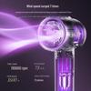 Bear High-Speed Ionic Hair Dryer CN plug (adapter included)