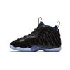 Air Foamposite One Space Jam PS 723946-006