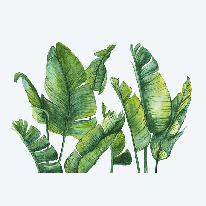 Buy PVC Removable Selfadhesive Wall Sticker Tropical Plants Green
