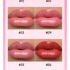 Pudaier - High-Pigment Plumping Lip Gloss - 14 Colors