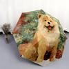 Chow Chow Muster, automatischer Regenschirm, tragbares und faltbares Design, 8 Rippen, ein Weihnachts- oder Geburtstagsgeschenk.