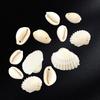 Pack of 100 Natural Seashells Charm Sea Shell Accessories for Handmade Bracelets and Necklaces Jewelry Components