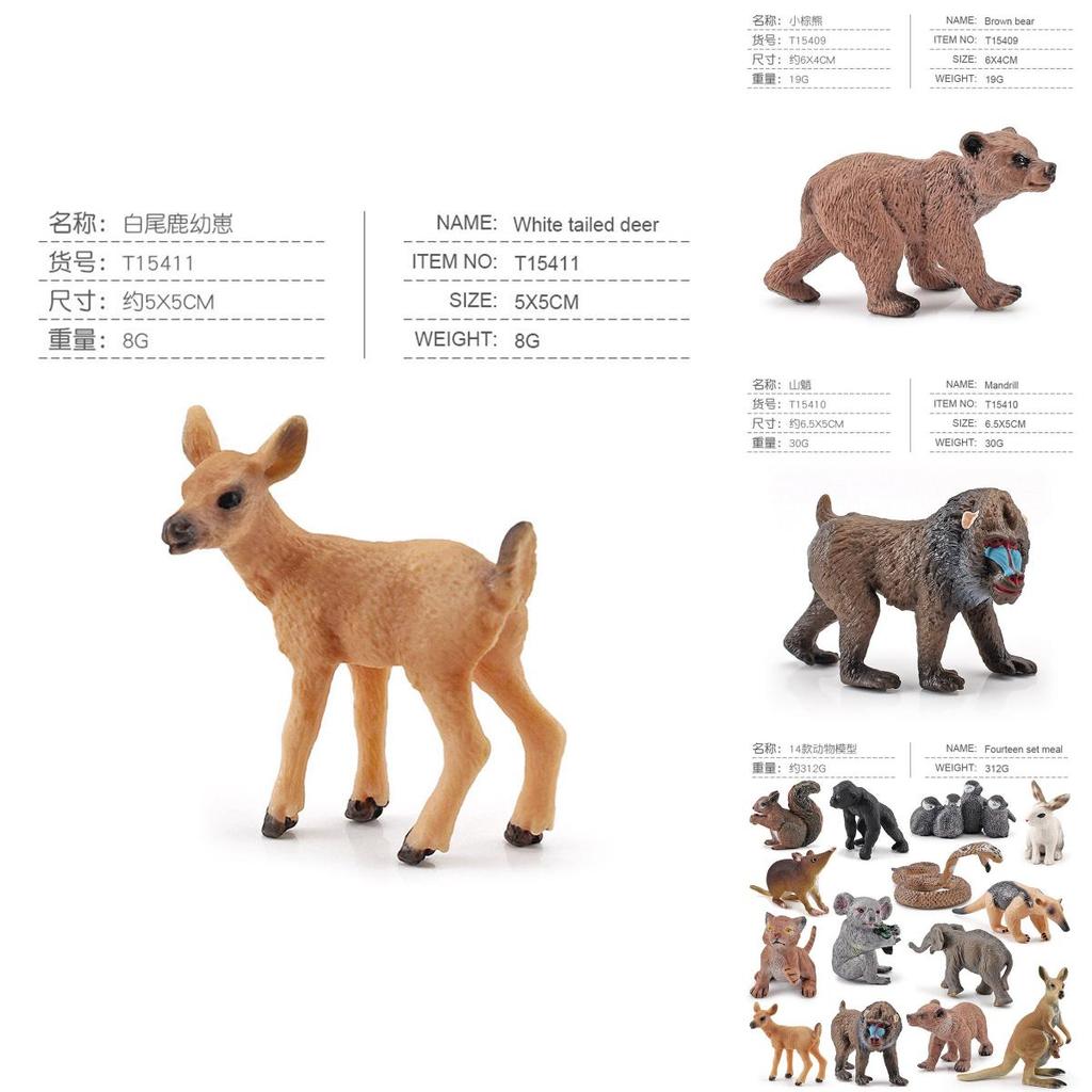 Squirrel Animal Model Set With Pvc Realistic Figures For Educational Play And Collecting Enthusiasts