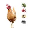 100 Pcs New Chicken Helmet Pet Supplies Funny Safety Helmet Chicken Hat Chicken Head Protection Pet Chicken Headset