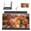 3D 14 Inch Universal Screen Magnifier Smartphone Amplifier with Foldable Bracket for VideoBlack 14 Inch