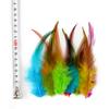 50/100pcs Natural Pheasant Chicken Feathers 10-15cm Colored Cock Plume for Handicrafts and Needlework Dream Catcher Accessories