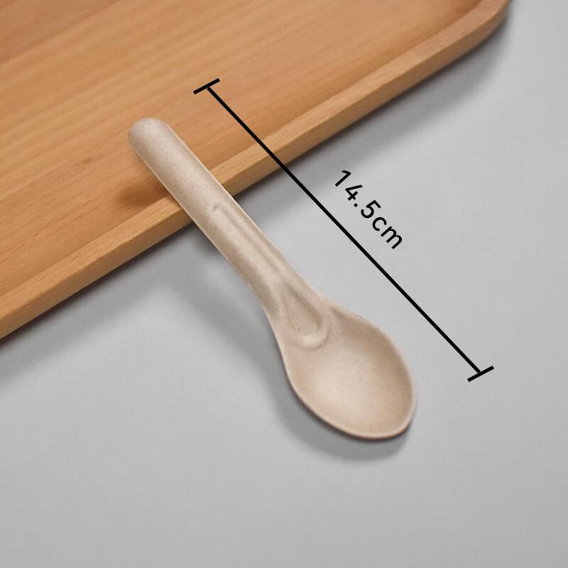 Eco-Friendly Biodegradable Pulp Spoons