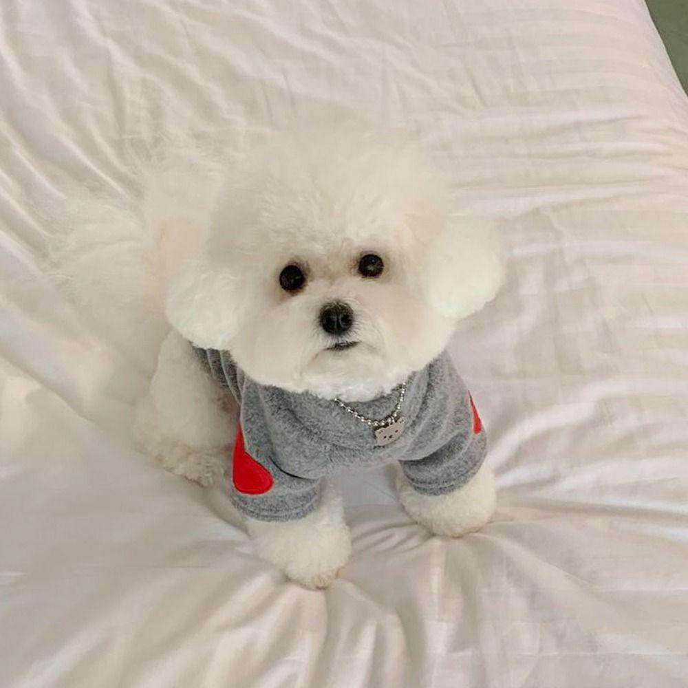 Soft Dog Solid Base Coat Love Printed Dog Warm Pullover Fashion Pet Sweatshirt  Winter