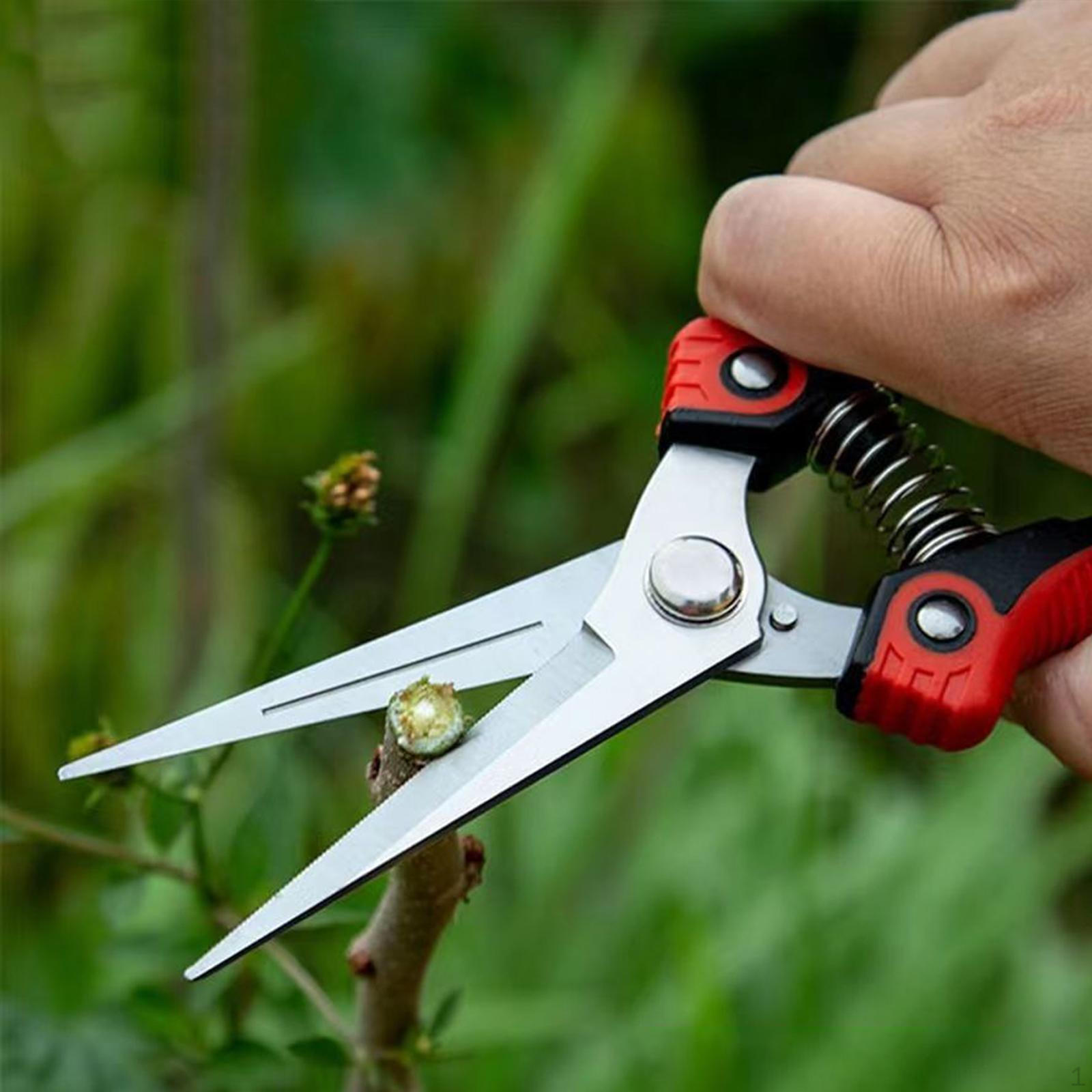 

Садовые ножницы Ручные секаторы Портативный инструмент Обрезка Садовые ножницы для бонсай