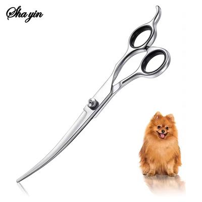 Köpek – Köpek bakım ürünleri