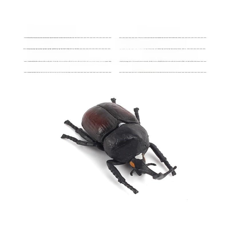 Allomyrina Dichotoma Model Pvc Realistic Display Scene For Science Education And Collectors