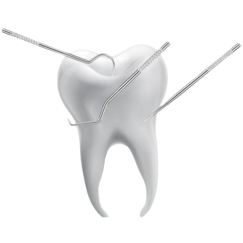 4Pcs Stainless Steel Toothpick Dental Floss Tartar Remover Reusable Oral Hygiene Kit Portable Teeth Cleaning Tools