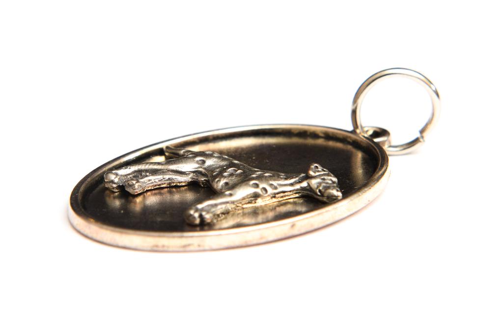 Dalmatian, Carriage Dog, Spotted Coach Dog - Necklace with a Dog, Pendant for a Dog Mom, Unique Jewelry from the Art-Dog Brand