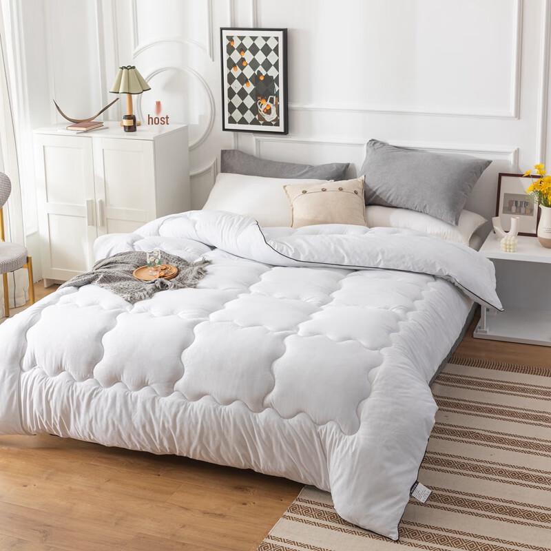 Caiyang All-Season Velvet Duvet
