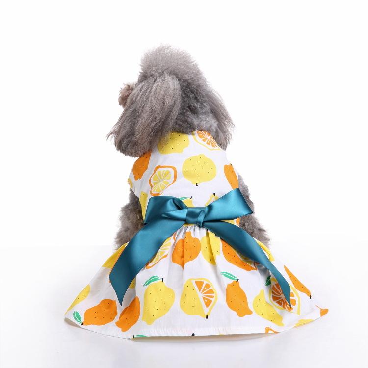 Neue Sommer Polka Dot Haustier Kleidung Rock Sommer Wassermelone Hund Kleidung Rock