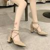 Fashion High Heels Women's Summer Block Heel Pointed Toe Shallow Cross Lace-up Roman One Buckle Strap Hollow Sandals