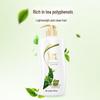 SURE Green Tea Seed Oil Control Dandruff Care Shampoo