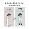 Store Style Lumbar Original Guidebook Included MTG Pelvic Belt Posture Waist [Official Exclusive]