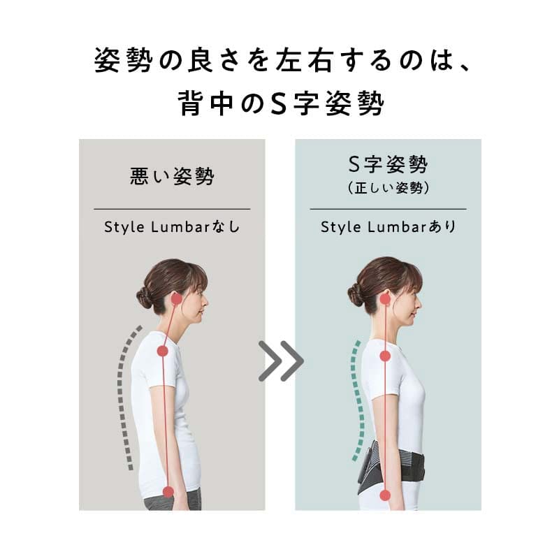 Store Style Lumbar Original Guidebook Included MTG Pelvic Belt Posture Waist [Official Exclusive]