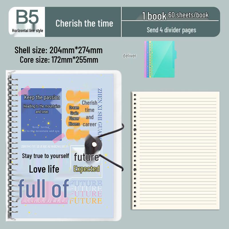 B5 Detachable Coil Ring Binder Thickened Notebook - High Aesthetic Ins Style