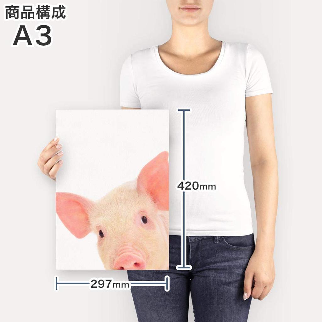 Art Panel Painting Decoration Igsticker 420mm X 297mm A3 Photo Wall Hanging Wooden Frame Interior Stylish 002775 Animal Pig Animal Photo