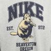 Nike Sweatshirts Men's Gray Crew Neck Moderate Regular HV1063-063