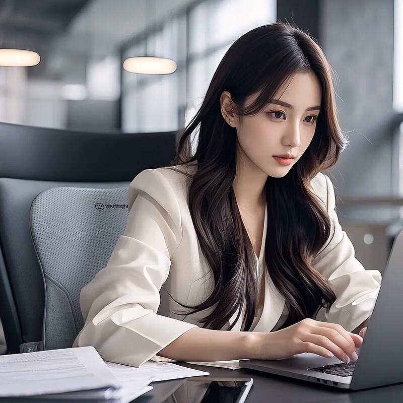 Westinghouse Massage Lumbar Support Pillow CN Plug (adapter Included)