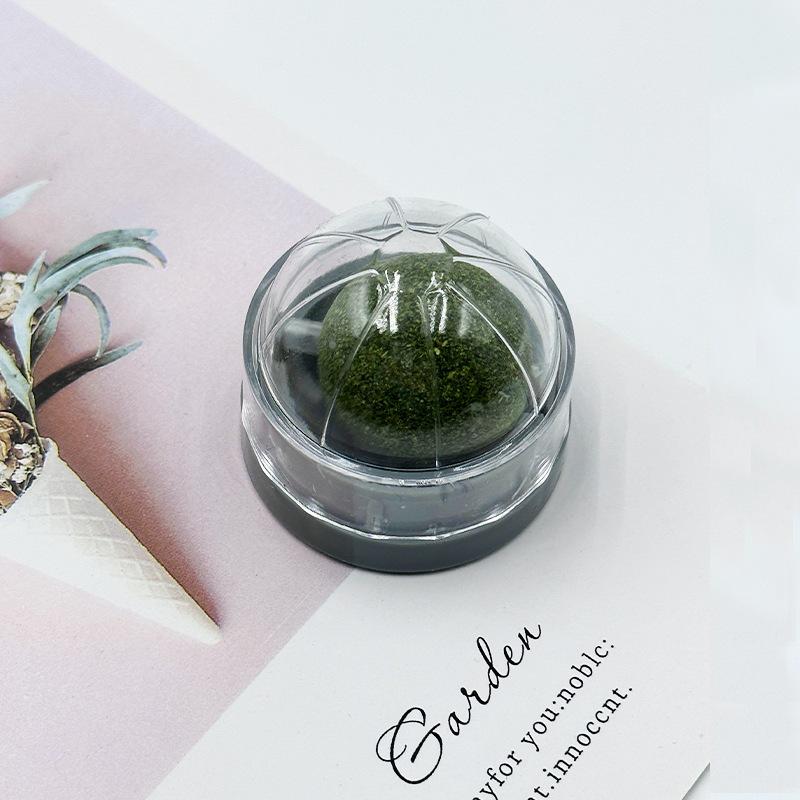 Catnip Matatabi Teasing Ball and Chew Stick for Kitten Play