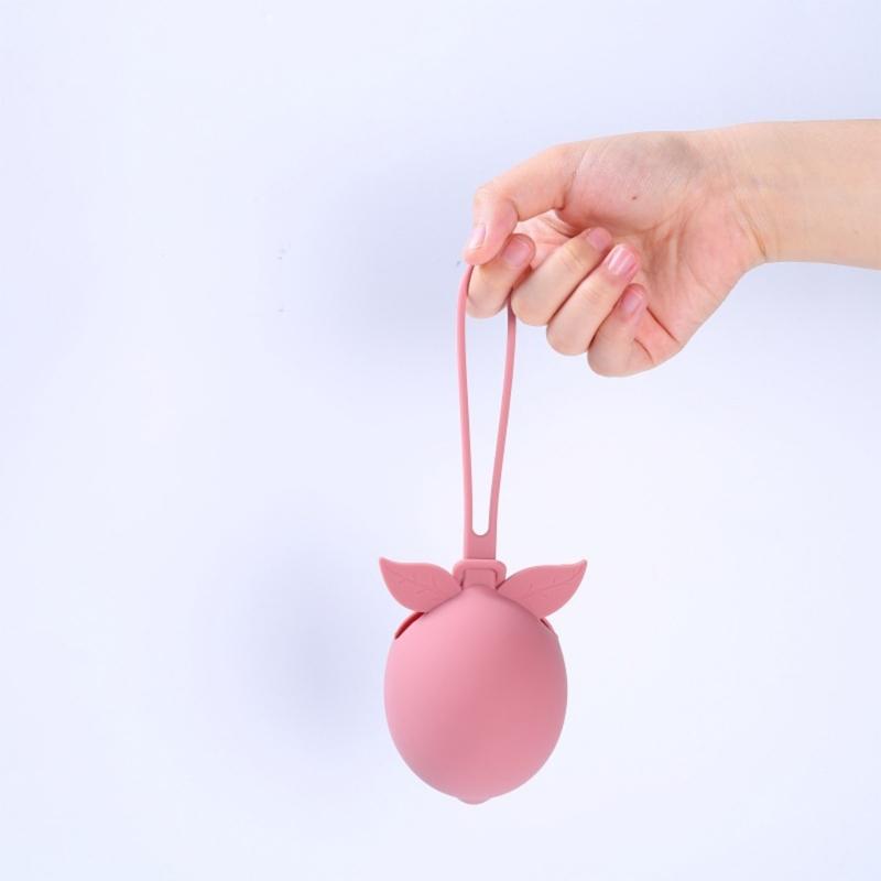 Cartoon Fruit Baby Pacifier Storage Bag Silicone Dummy Case Portable Pacifier Organiser Pouch Container Accessory