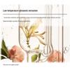 Slek Freesia Fragrance Anti-Dandruff Oil Control Shampoo